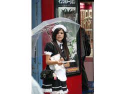 Maid Cafe Akihabara, a girl handing out flyers